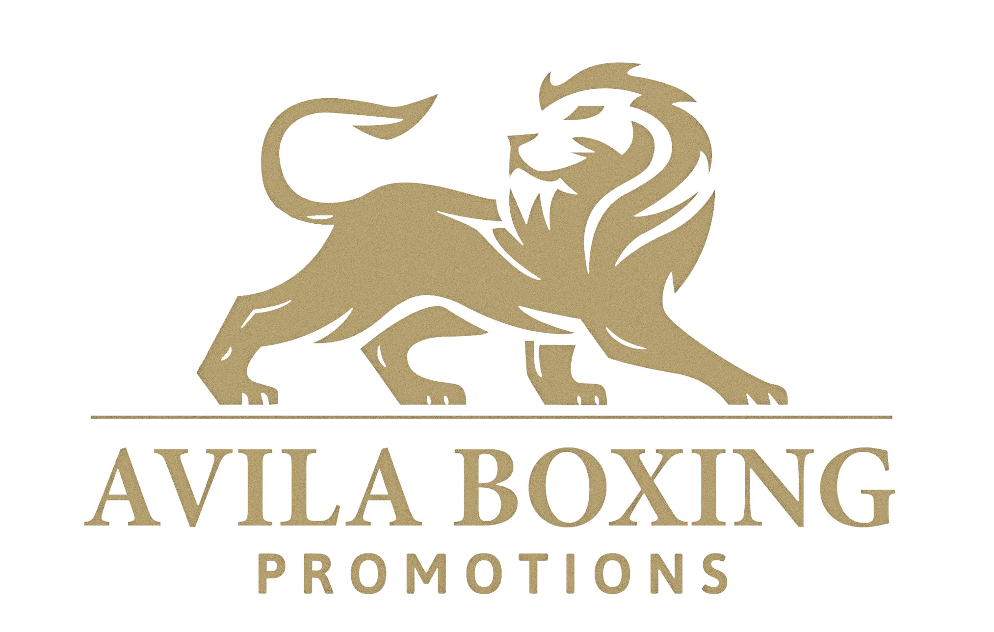 Avila Boxing Promotions